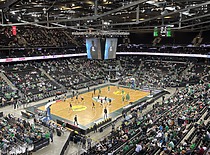 Watching basketball game at Žalgiris Arena in Kaunas